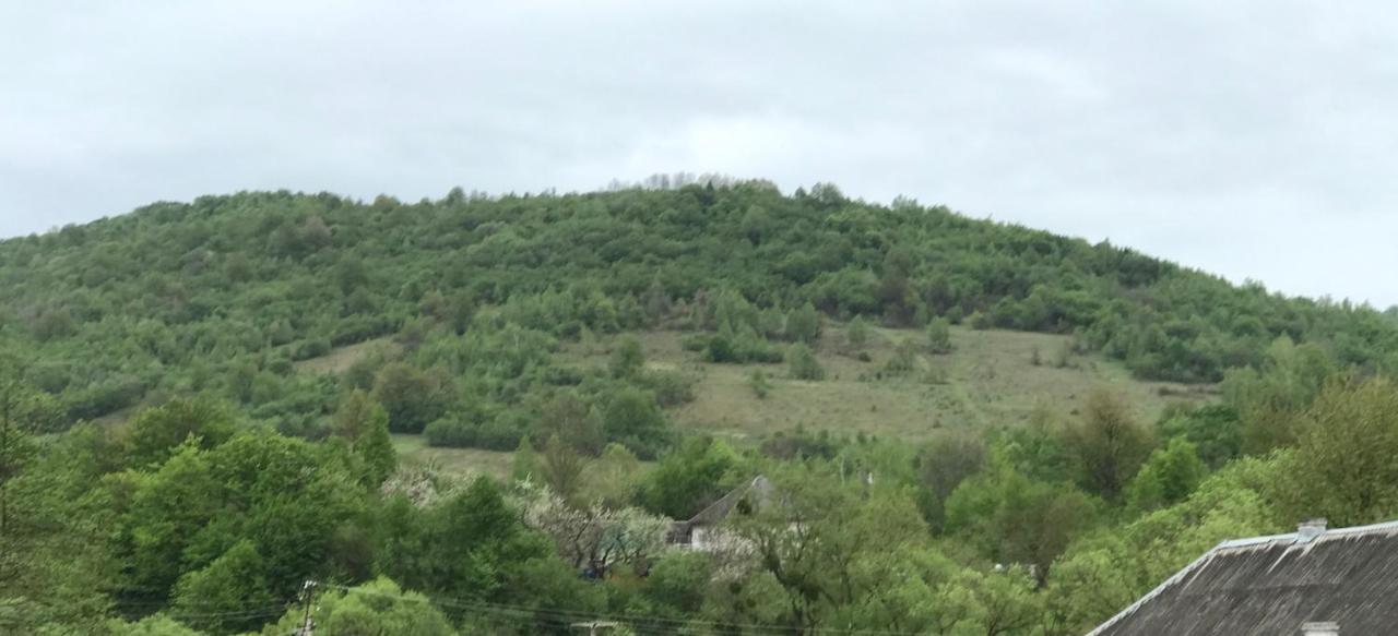 Квітковий Двір Galambos Kültér fotó